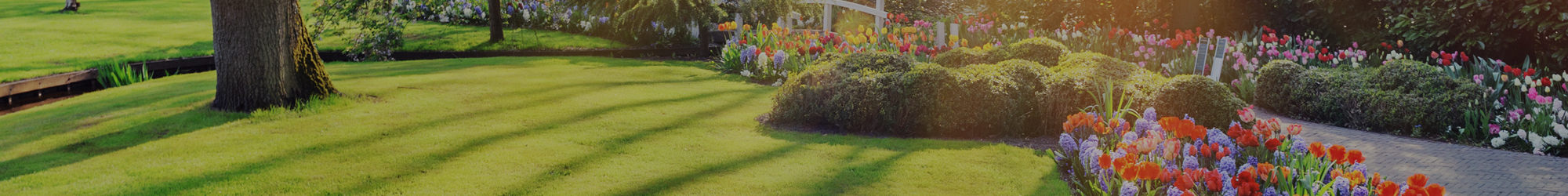contact banner